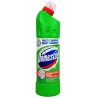 Domestos 750ml pine