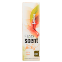 CLINEX SCENT Sticks Fantasy 45ml