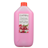 NATURAPHY mydło w płynie wiśniowe z aloesem 5l
