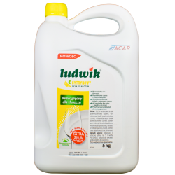 Płyn do naczyń LUDWIK 5l...